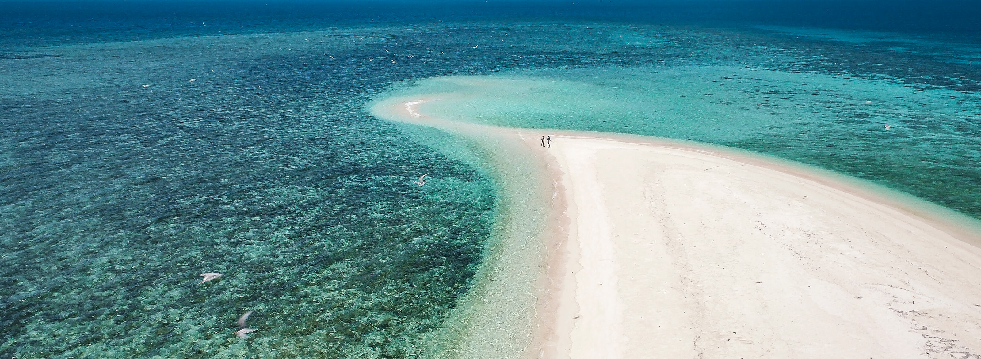 Islands Of The Great Barrier Reef Cairns Great Barrier Reef