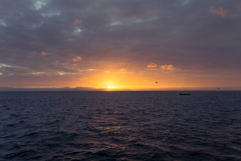 Things To Do In Port Douglas Cairns & Great Barrier