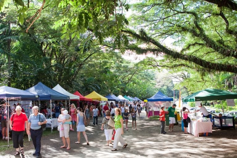 Most Popular Markets Near Cairns Cairns & Great Barrier Reef