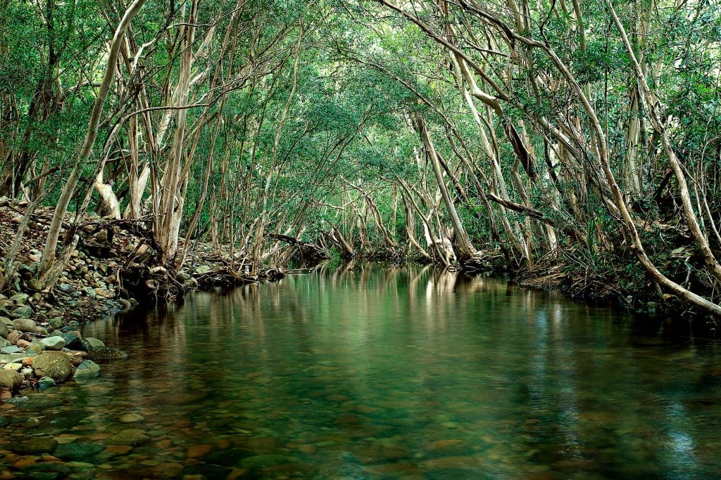 Five Mile Swimming Hole Cardwell