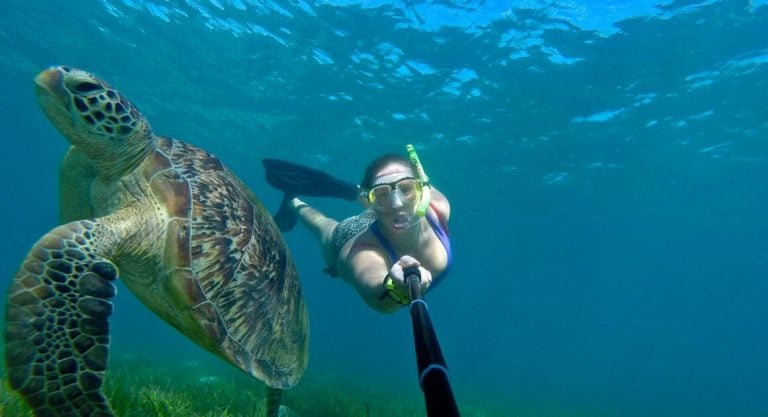 Sand Cays To Visit | Cairns & Great Barrier Reef