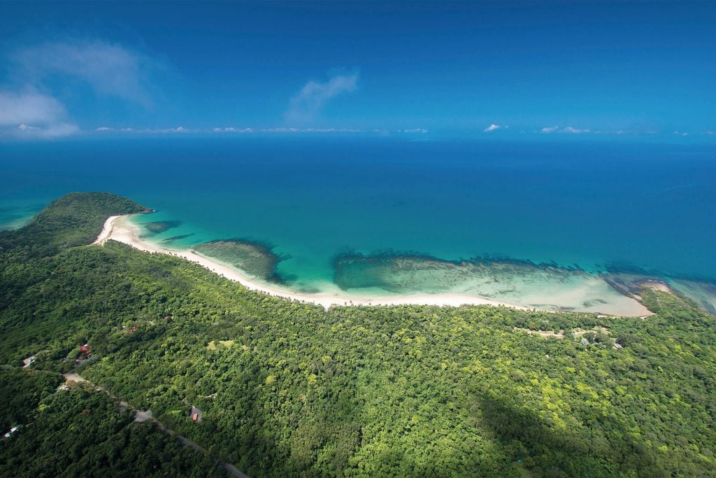 Cape Tribulation