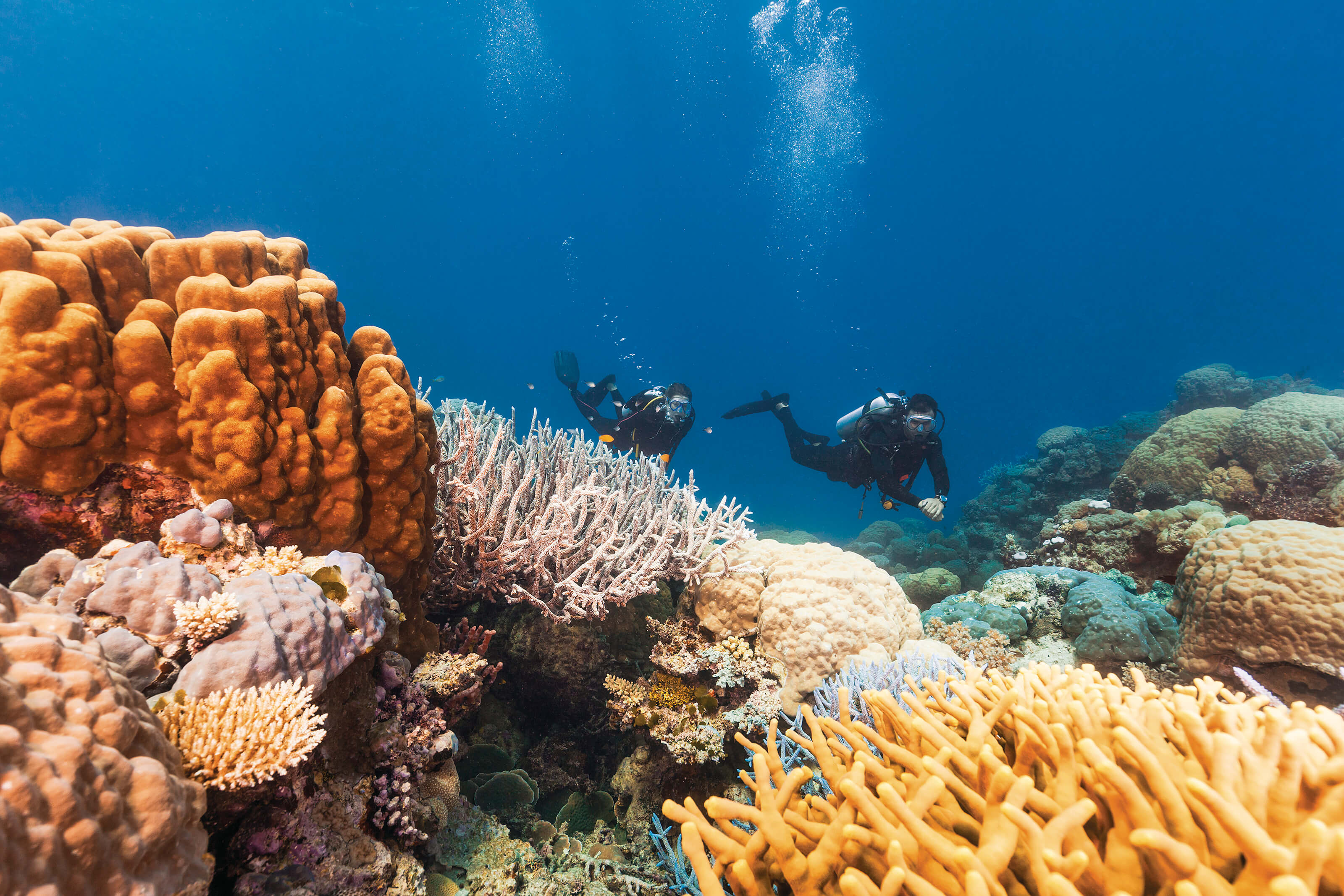 Great Barrier Reef CTA Banner