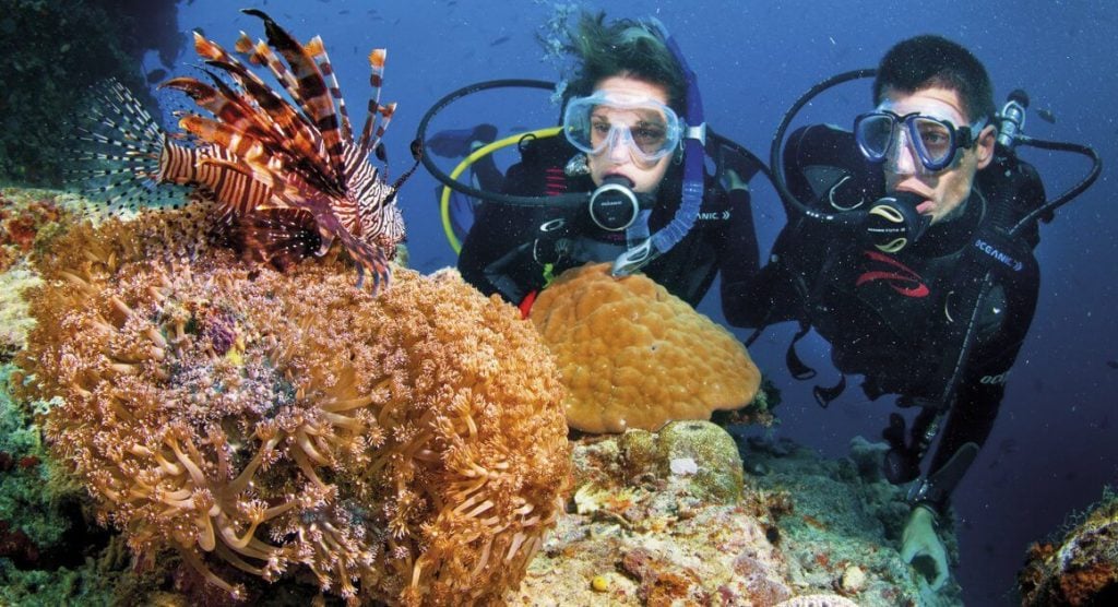Scuba Diving and coral