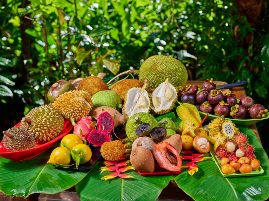 Beach Harvest Australian Coconuts - Daintree Food Trail