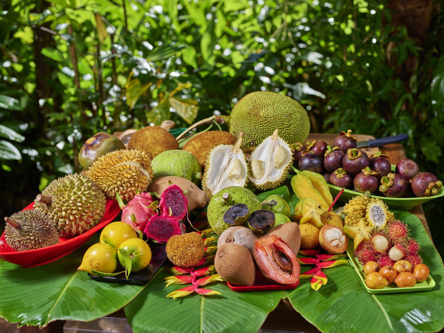 Daintree Food Trail Cairns & Great Barrier Reef