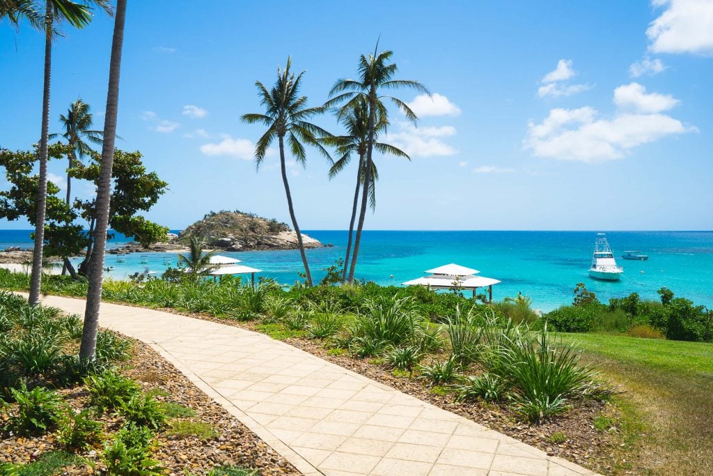 Lizard Island waters and palms