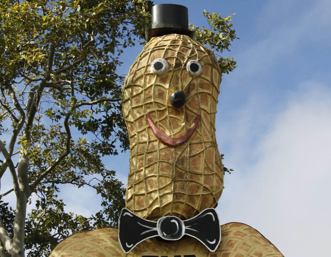 Iconic Big Things Of North Queensland Cairns & Great Barrier Reef