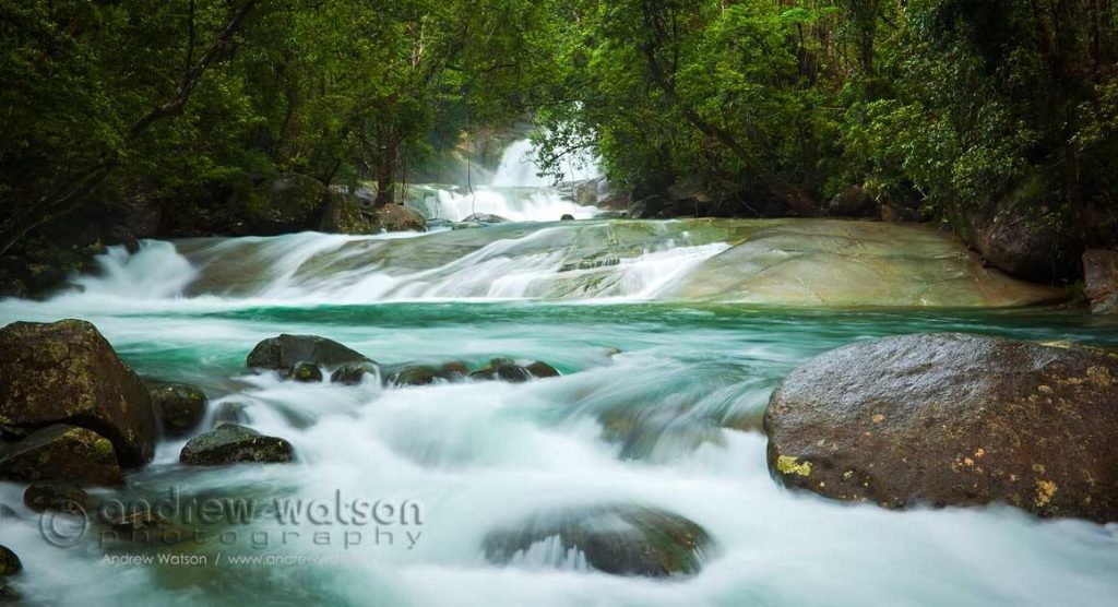 Swimming hole in rainforest