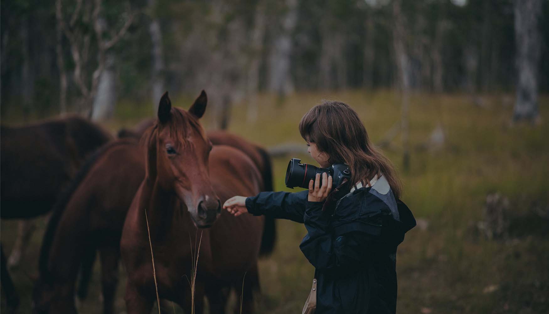 Atherton Tablelands woman photographing horses