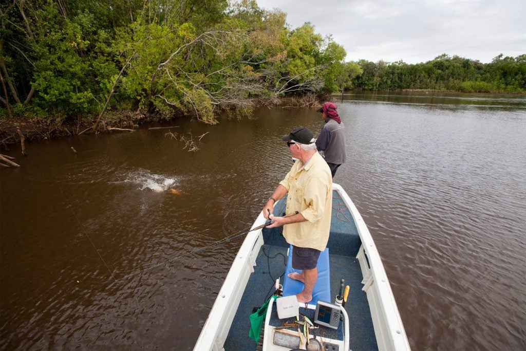 croc tours cooktown