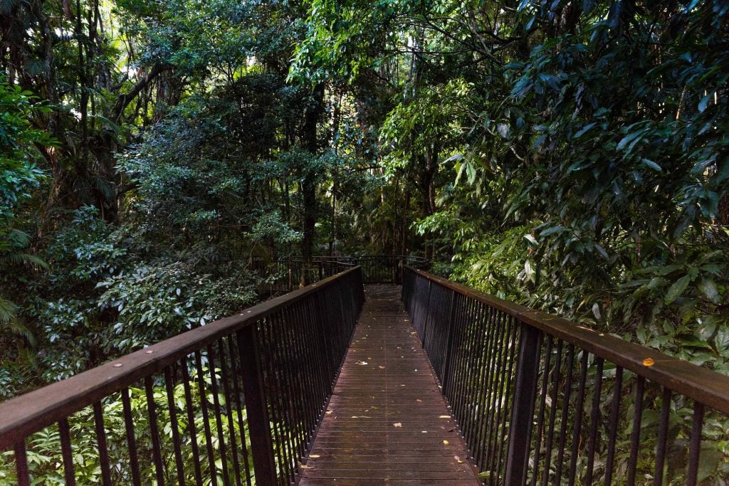 Barron Falls boardwalk