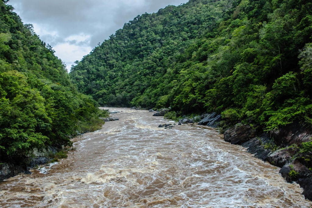 barron river wet season