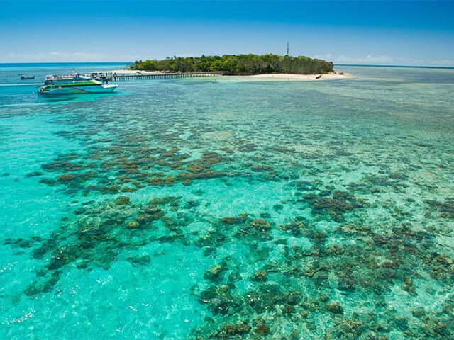 big cat green island reef cruises