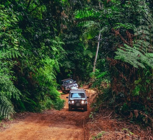 The CREB Track | Tropical North Queensland