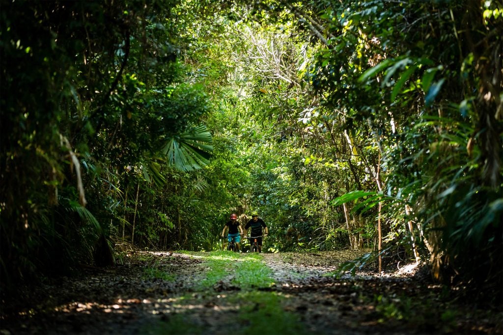 Mountain Biking Musgravea Track