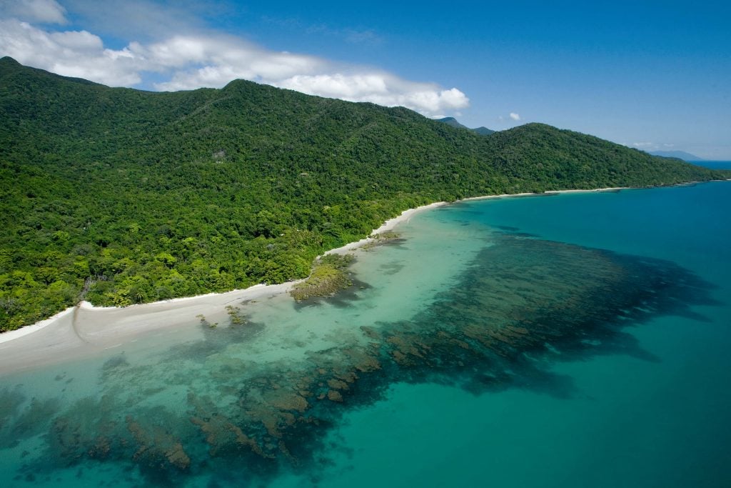 Cape Tribulation National Park