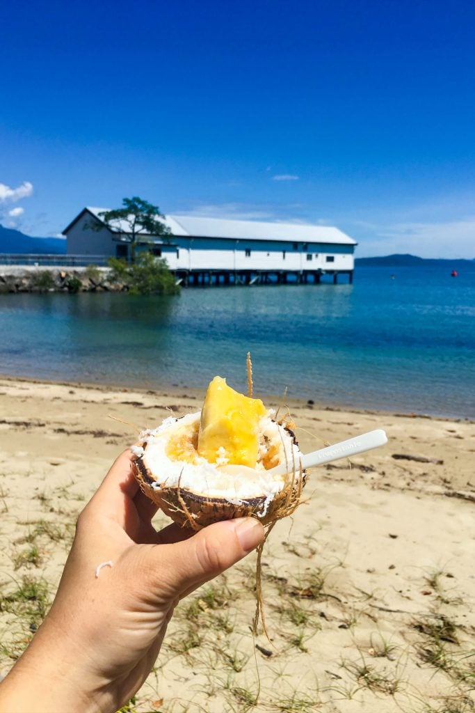 Coconut - Port Douglas Markets