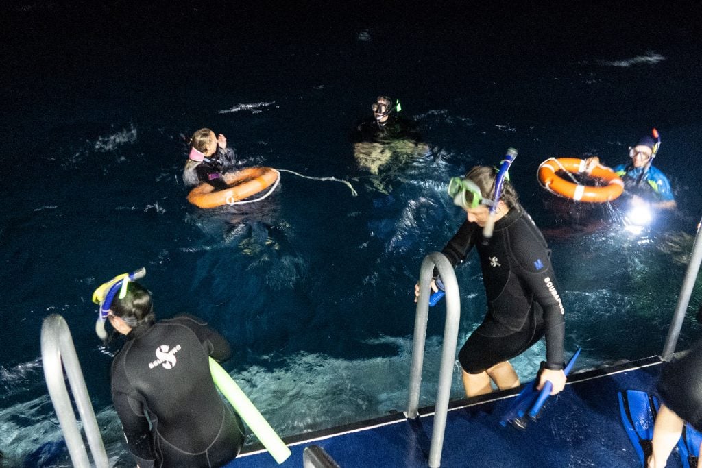 Coral spawning snorkelers