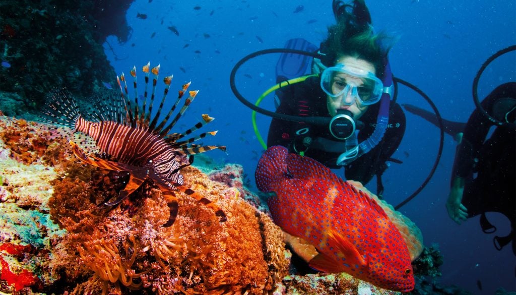 fishing-for-coral-trout-in-north-queensland-cairns-great-barrier-reef