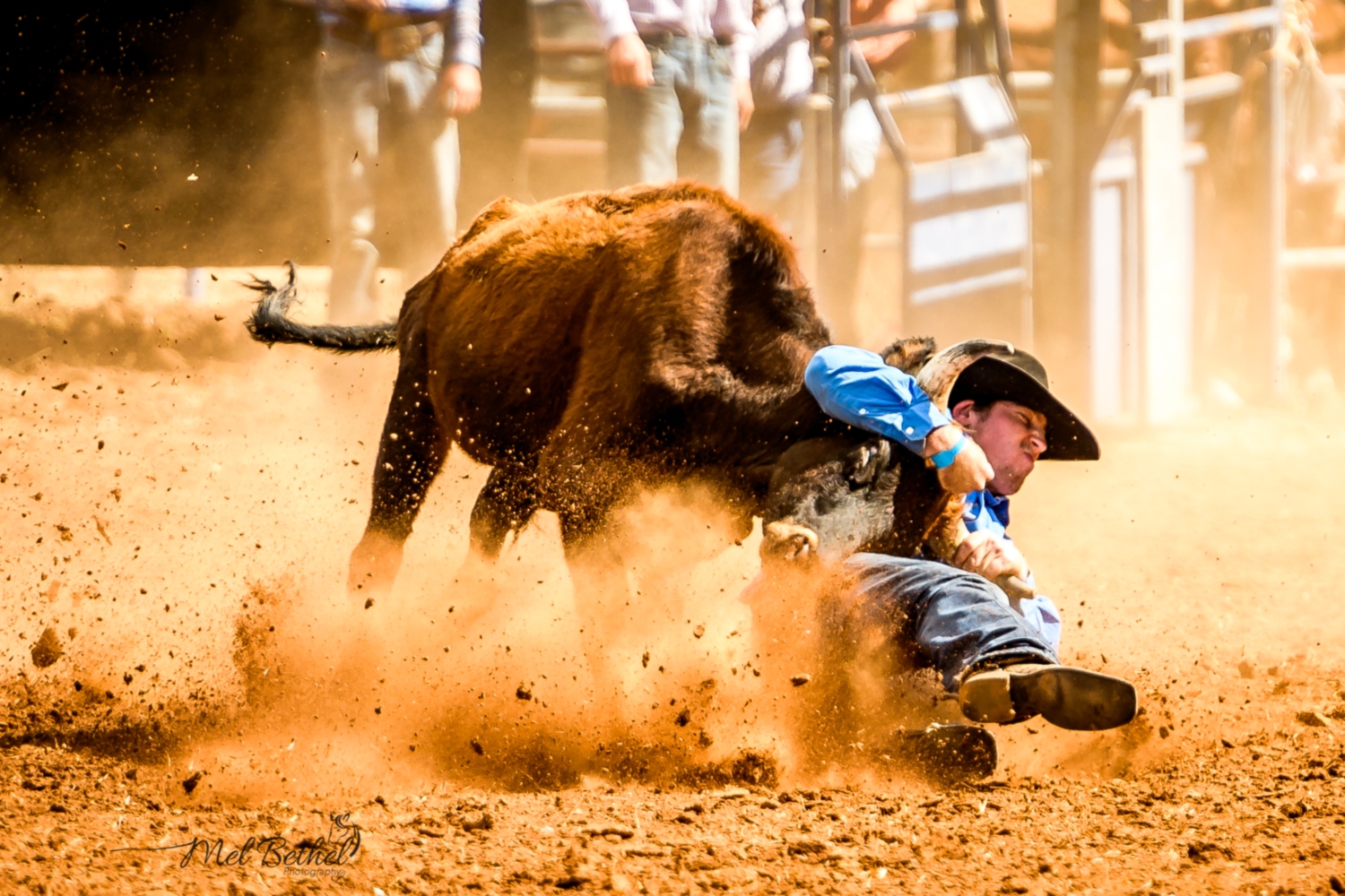 Chillagoe Rodeo Cairns & Great Barrier Reef