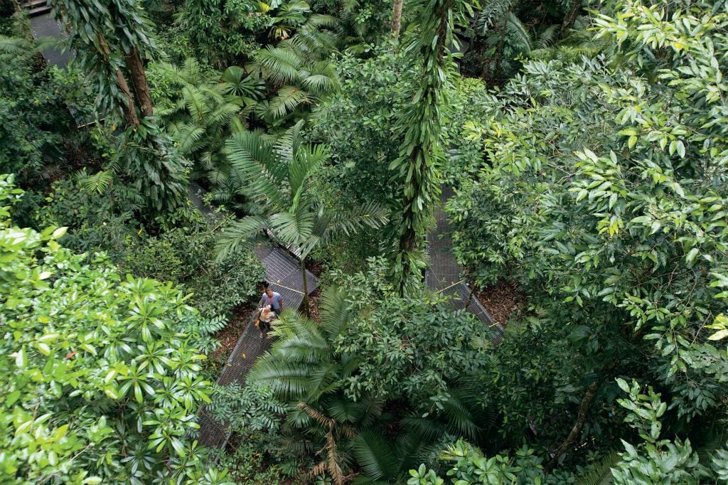 Daintree Discovery Centre