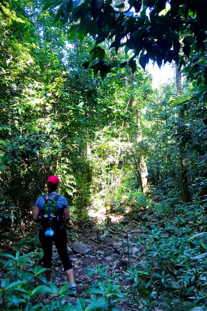 Dalrymple Gap track