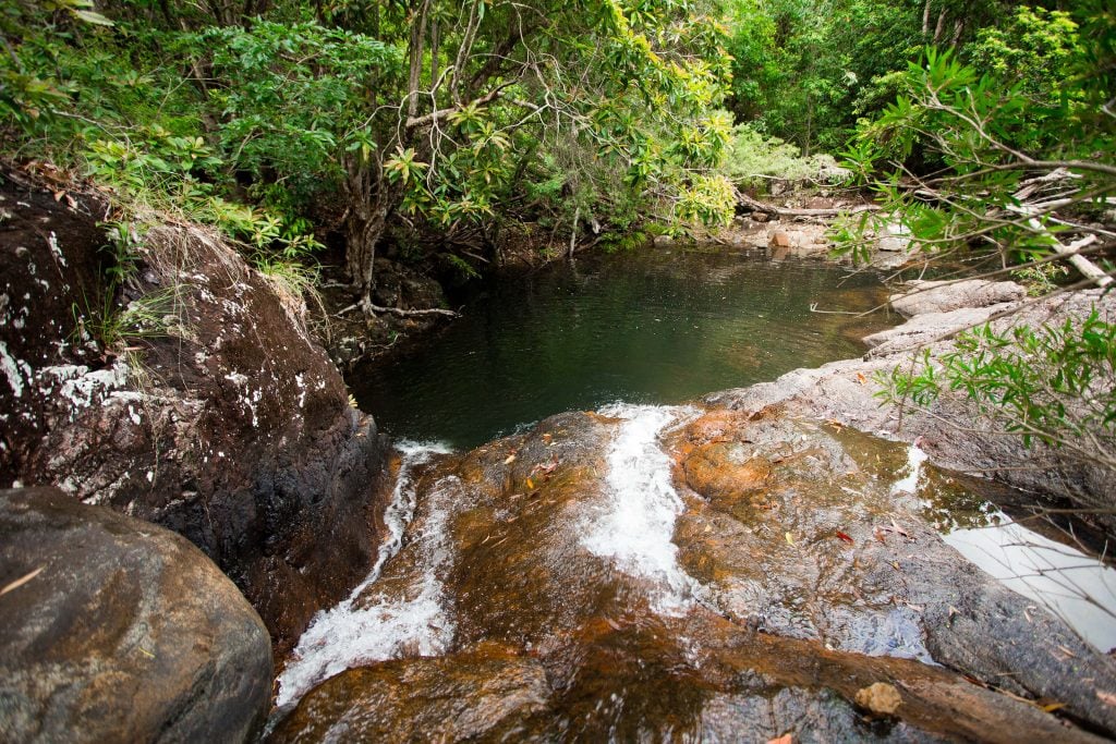 Dead Horse Creek Cardwell