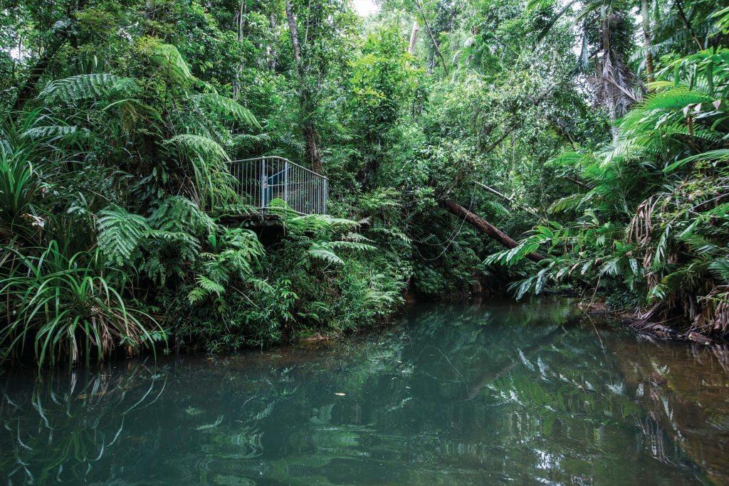 Djiru National Park