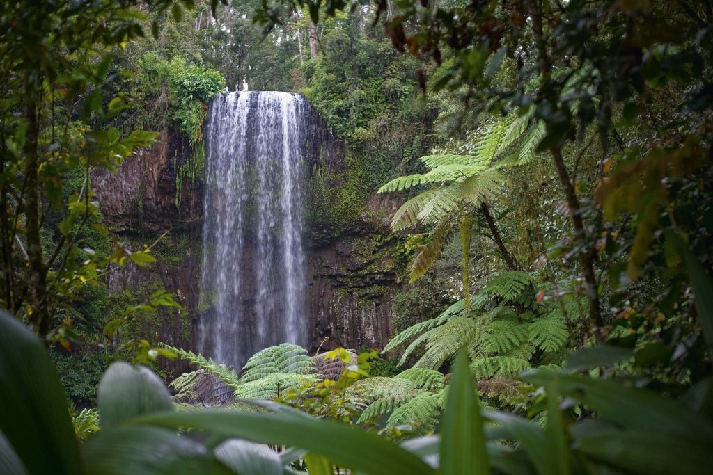 Millaa Millaa Falls