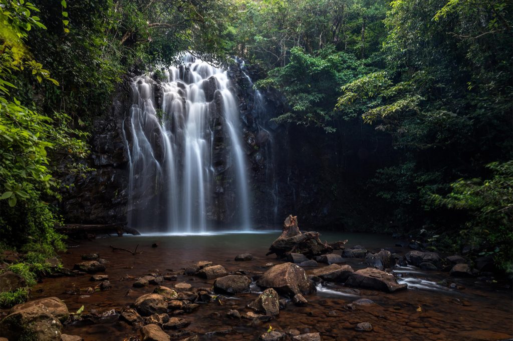 Explore The Atherton Tablelands | Cairns & Great Barrier Reef