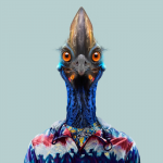 Kevin the cassowary