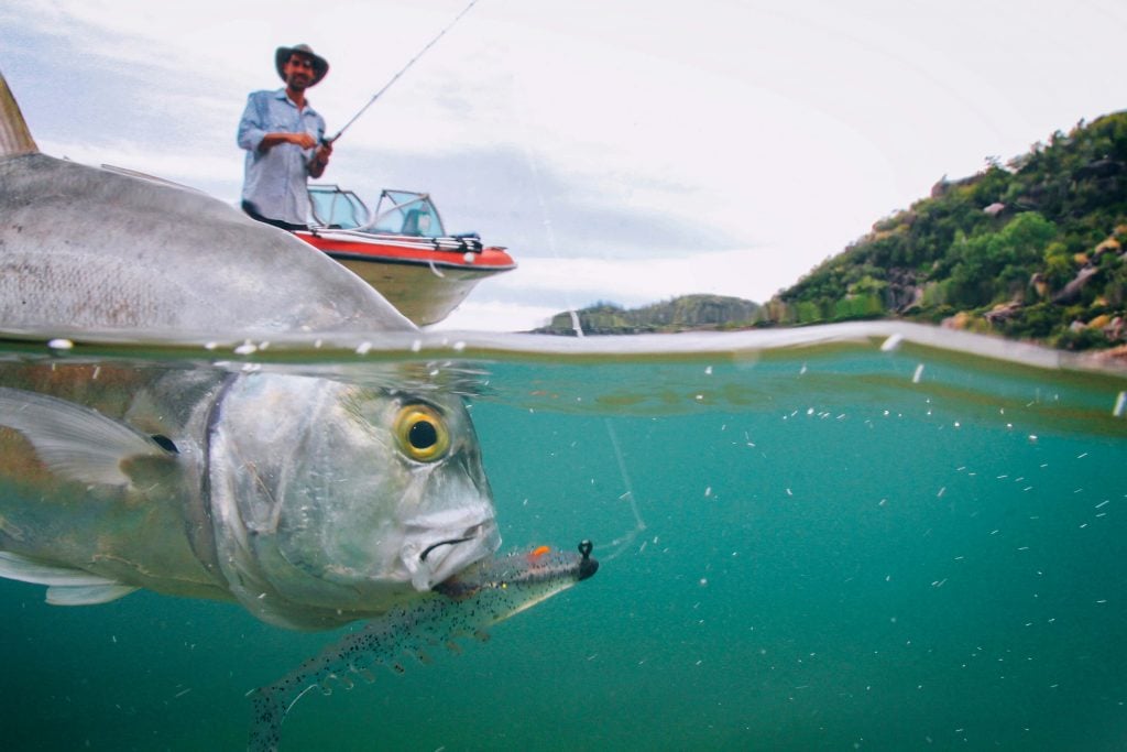 fish hooked by man in boat