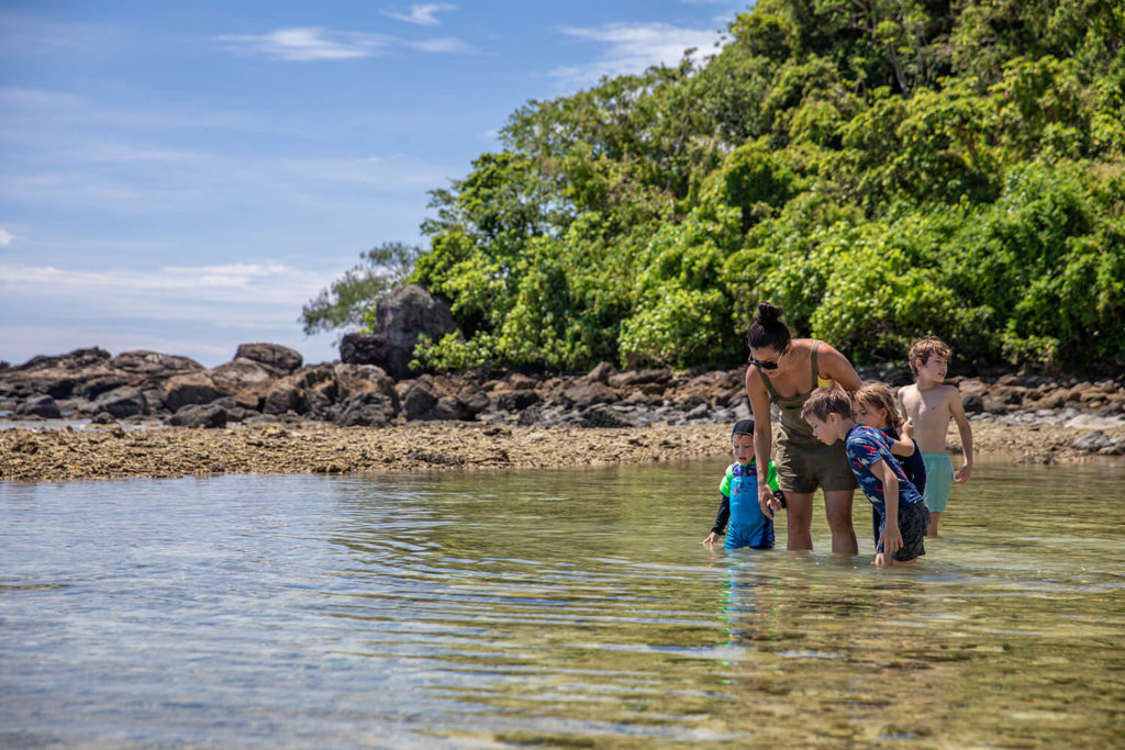 Frankland Island Cruises - family looking at rock pools