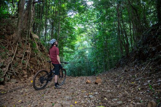 Goldfield Trail Discovery | Cairns & Great Barrier Reef