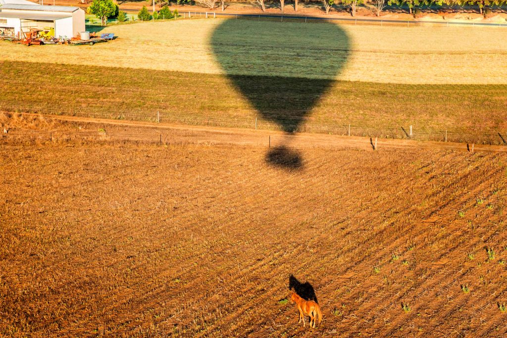 hot air balloon shadow