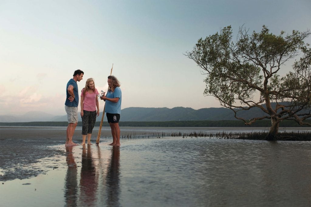 cooya beach indigenous tour