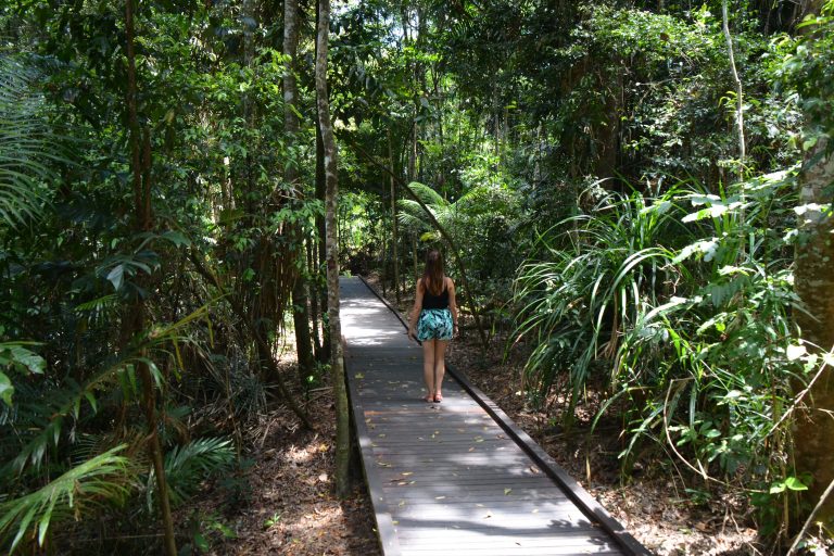 Kuranda Rainforest Walking Tracks & Trails Cairns & Great Barrier Reef