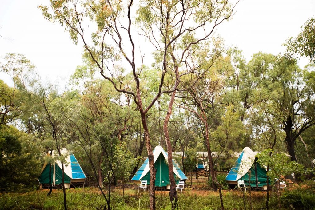 tents at the undara experience