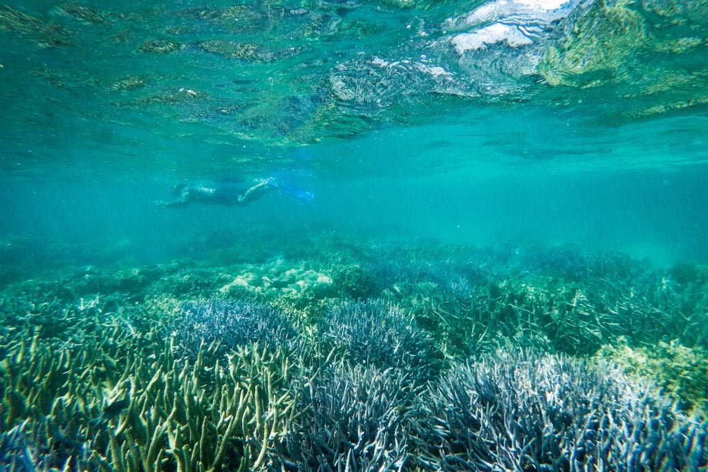 great barrier reef mission beach