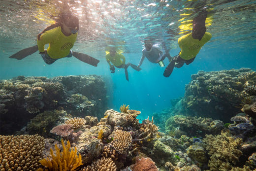 Master Reef Guides
