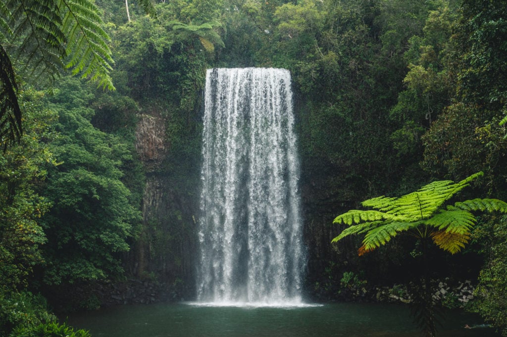 Atherton Tablelands Waterfalls Map The Waterfall Circuit | Tropical North Queensland