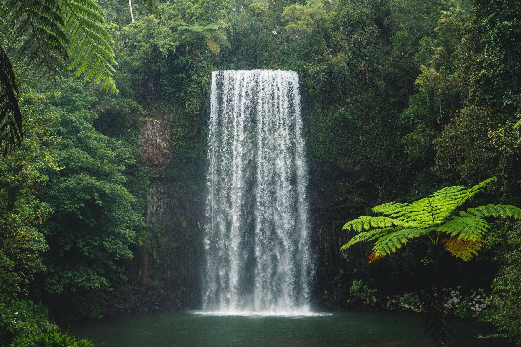 millaa millaa falls atherton tablelands