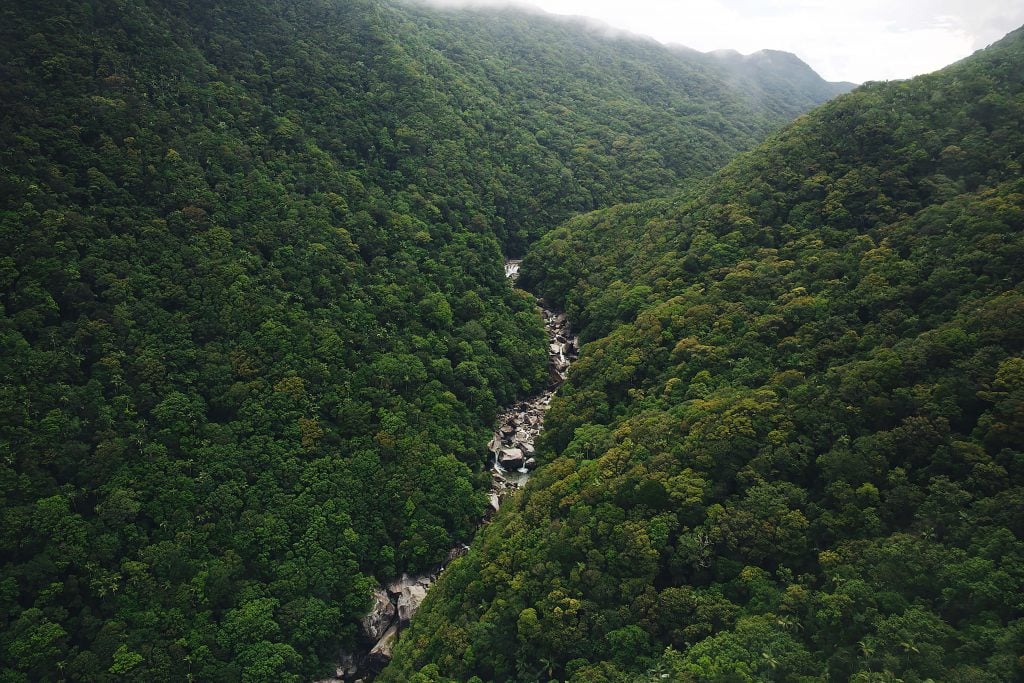 Mossman Gorge from above