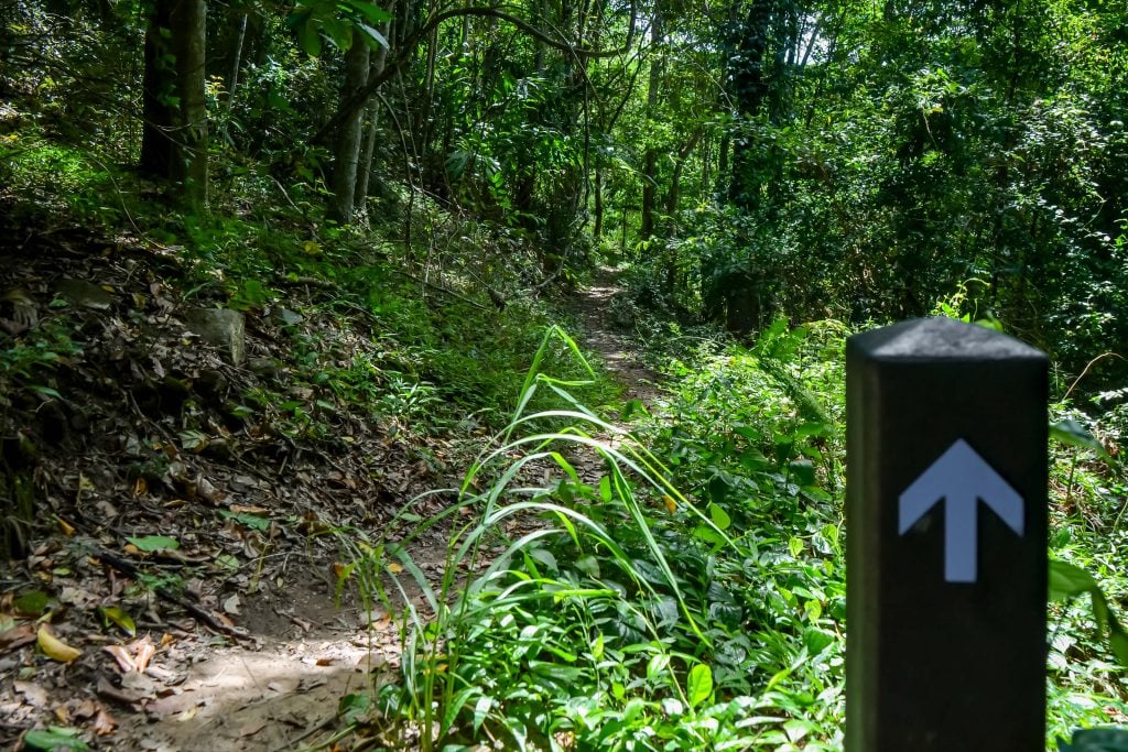 Blue Arrow Walking Trail