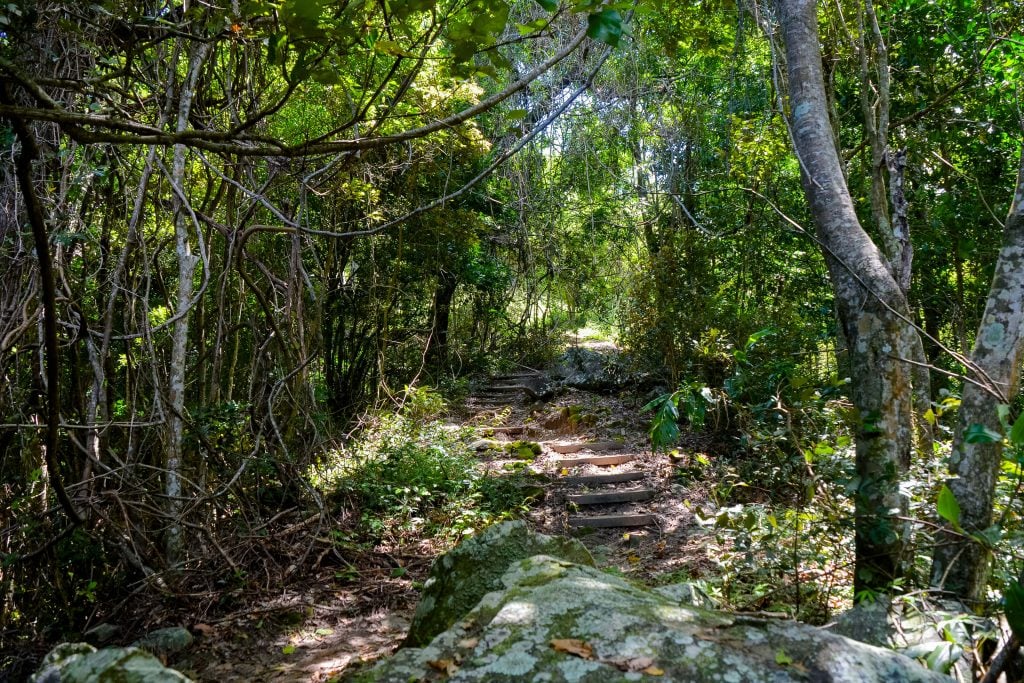 Blue Arrow Walking Trail