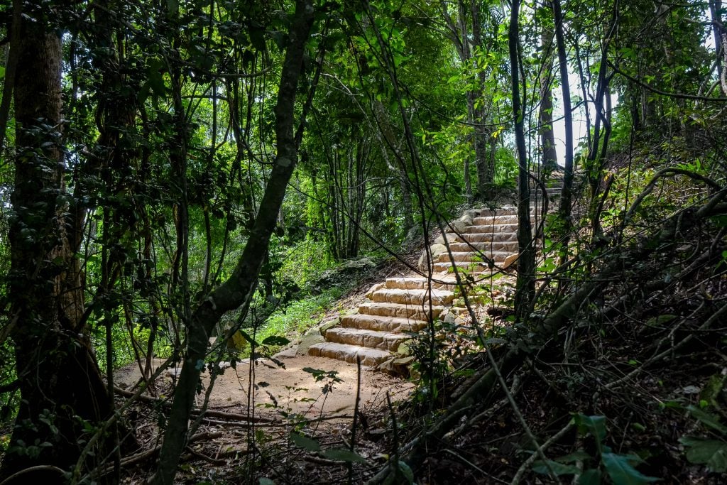 The Yellow Arrow walking trail