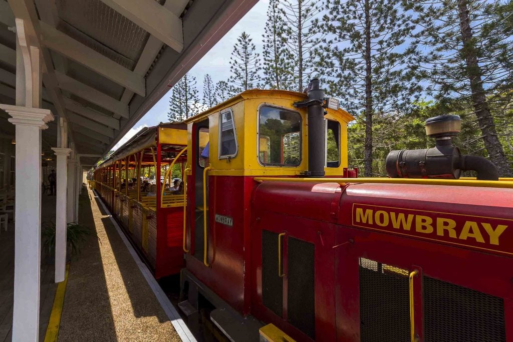 bally hooley steam train port douglas