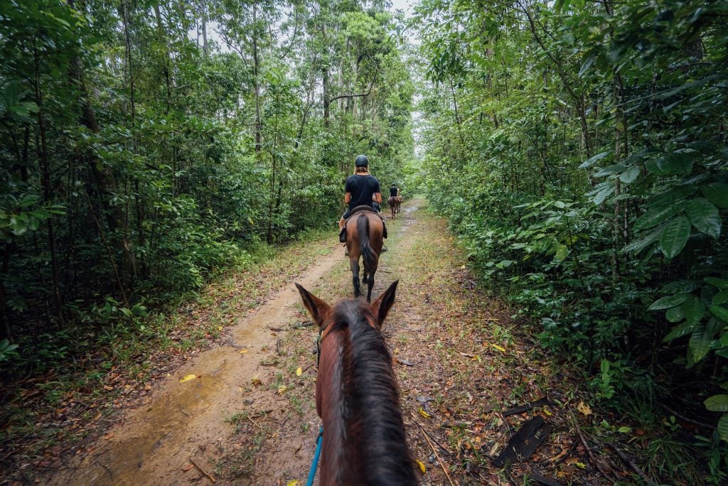 cape tribulation horse riding