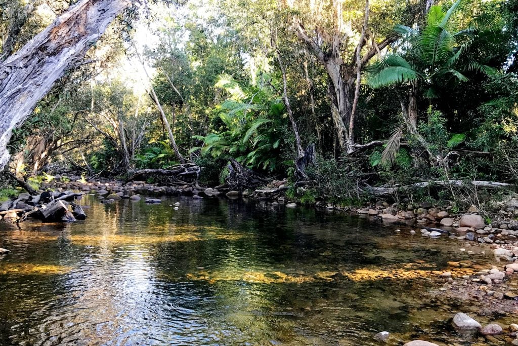 Dalrymple Gap Walking Track creek